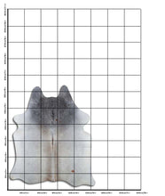 Load image into Gallery viewer, Hall lehmanahk L