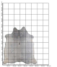 Load image into Gallery viewer, Hall lehmanahk L