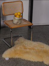 Load image into Gallery viewer, Meditsiiniline lambanahk