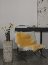 Load image into Gallery viewer, Meditsiiniline lambanahk (lühikarvaline)