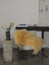 Load image into Gallery viewer, Meditsiiniline lambanahk