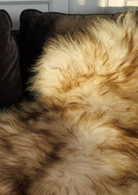 Load image into Gallery viewer, Mufloni islandi lambanahk