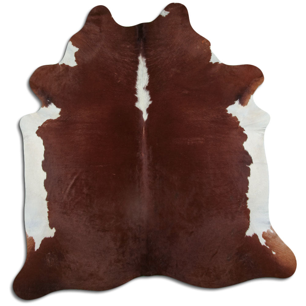 Pruun lehmanahk XL