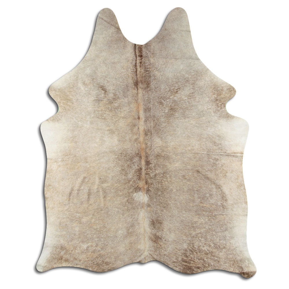 Šampanja lehmanahk M