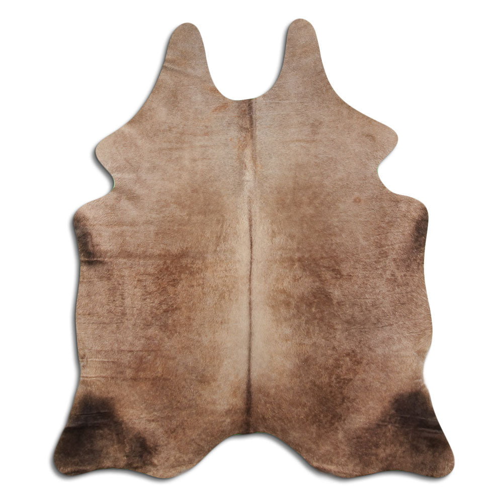 Šampanja lehmanahk L