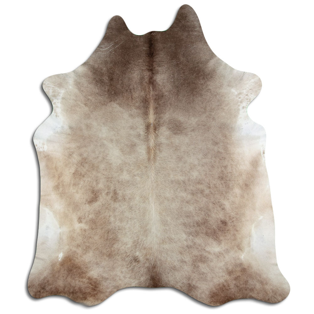 Šampanja lehmanahk XXXL