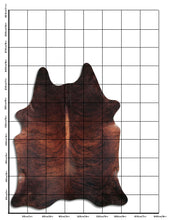 Load image into Gallery viewer, Eksootiline lehmanahk XXL

