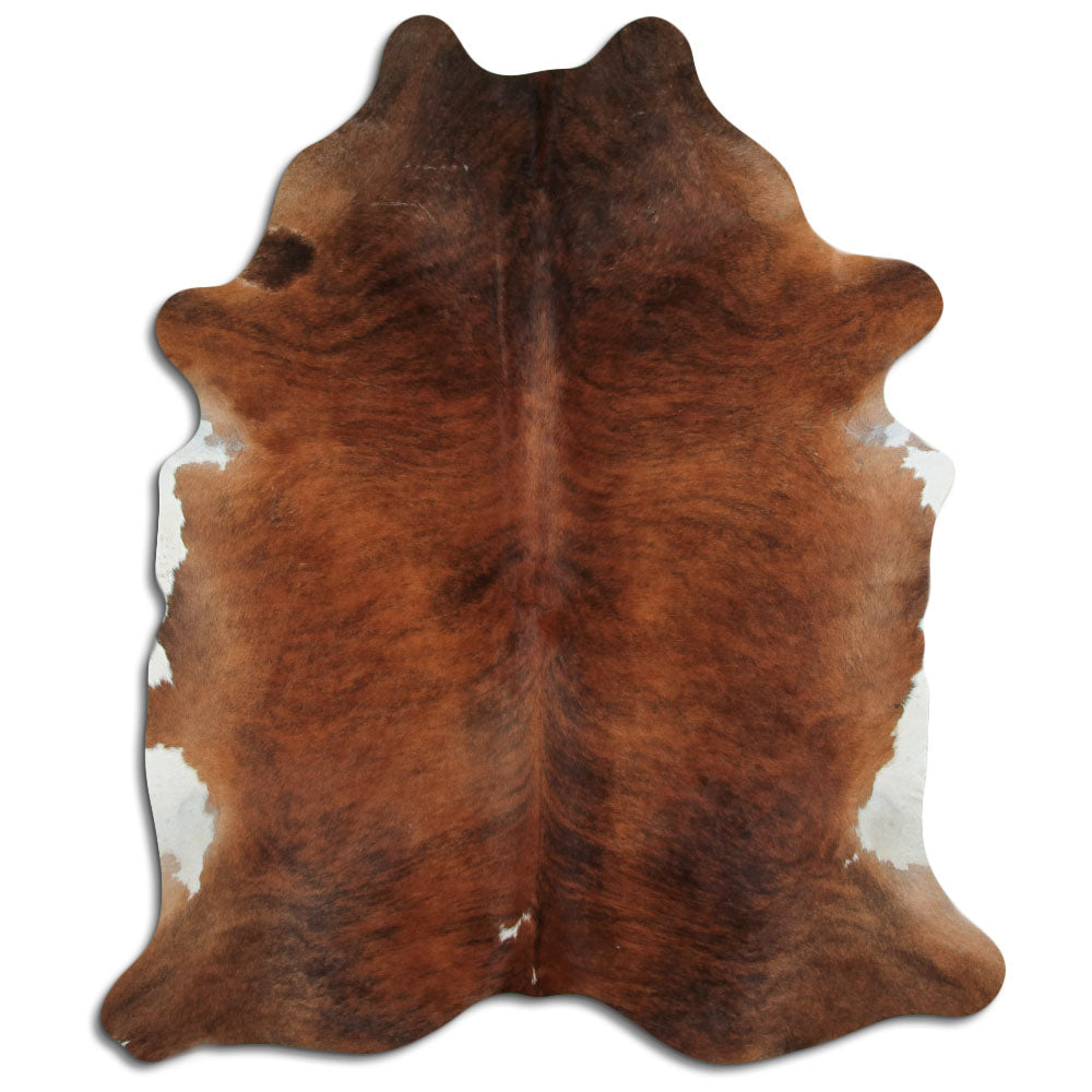 Eksootiline lehmanahk XL