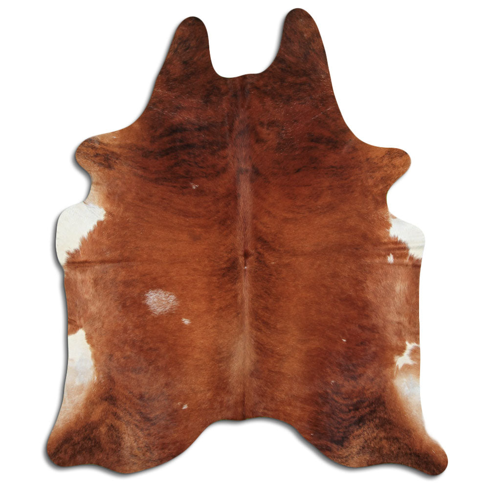 Eksootiline lehmanahk XXL