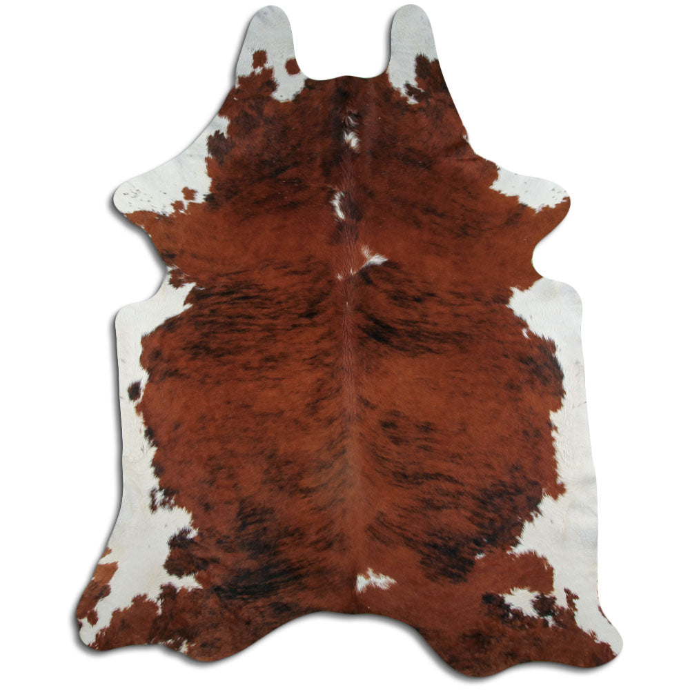 Eksootiline lehmanahk XXL