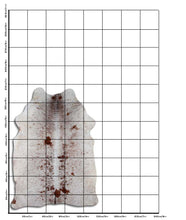 Load image into Gallery viewer, Salt and Pepper egzotinis lehmanahk L
