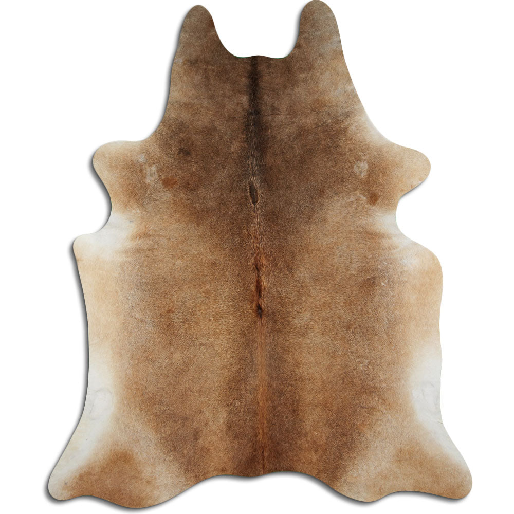 Pruun lehmanahk XXL