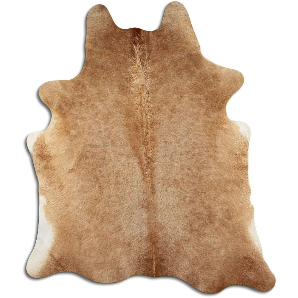 Šampanja lehmanahk L