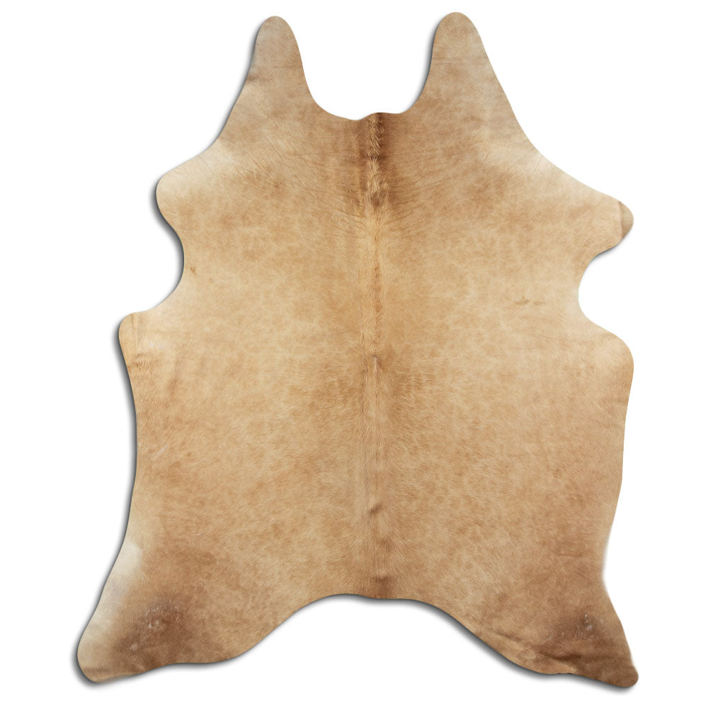 Šampanja lehmanahk L