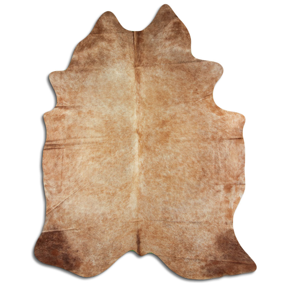 Šampanja lehmanahk XXL