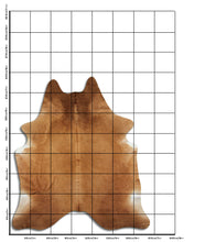 Load image into Gallery viewer, Pruun lehmanahk XXL
