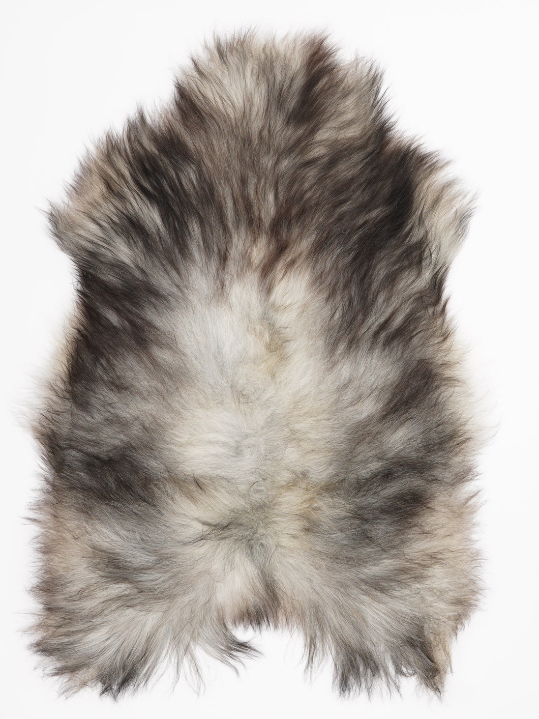 Hall islandi lambanahk L