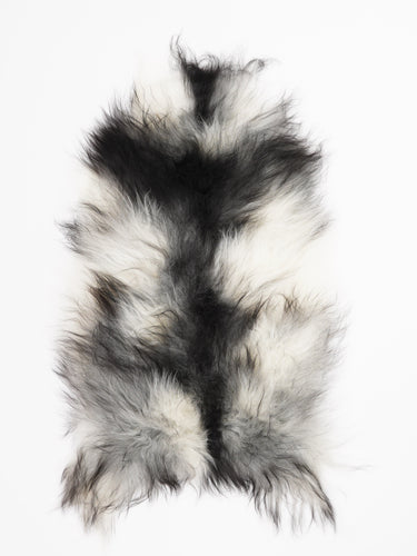 Hall islandi lambanahk L