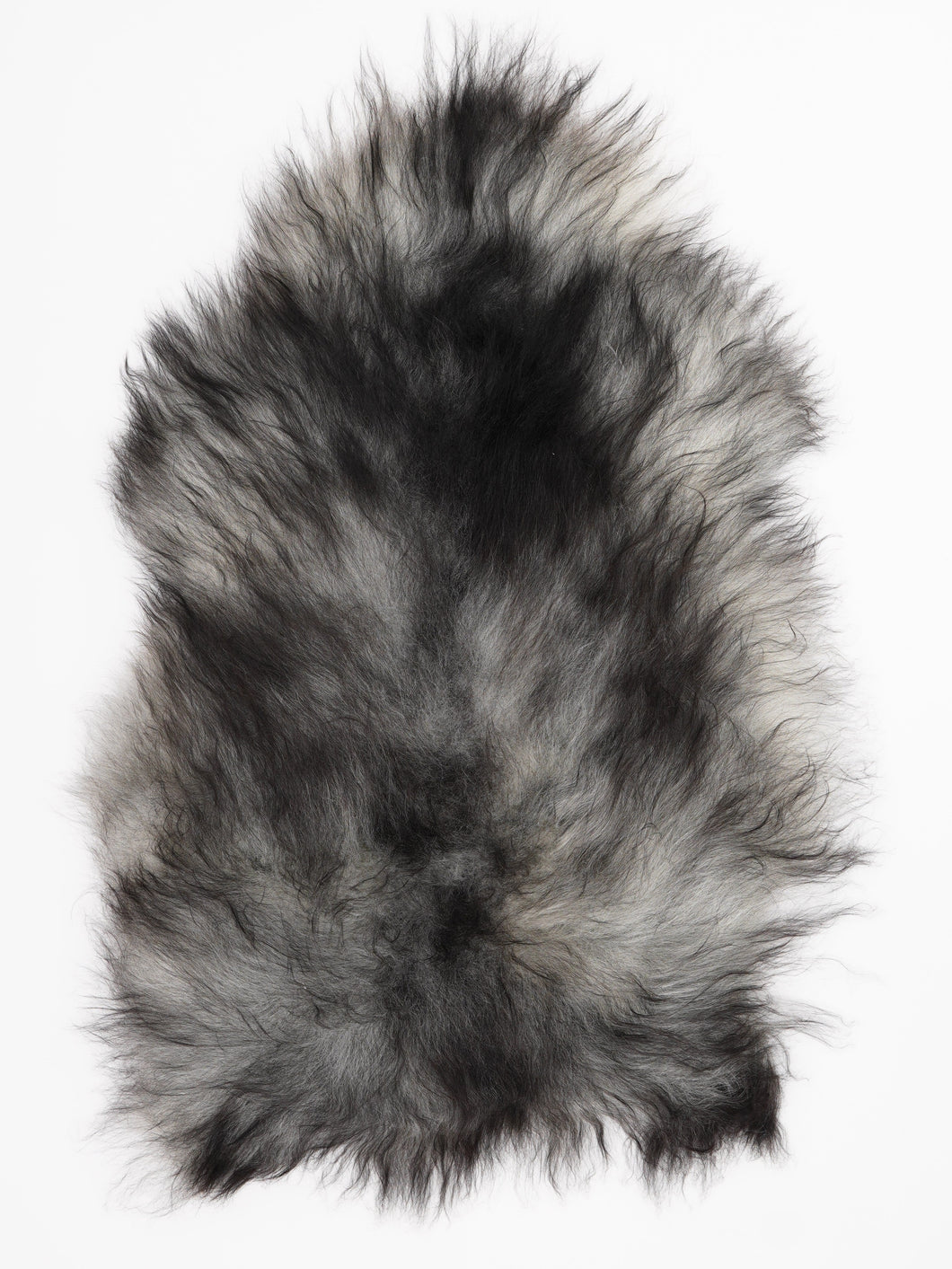 Hall islandi lambanahk L