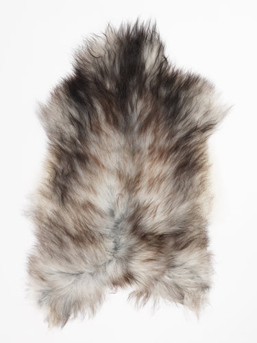 Hall islandi lambanahk L