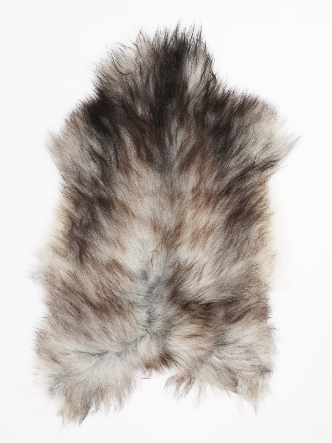 Hall islandi lambanahk L