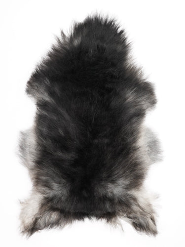 Hall islandi lambanahk L