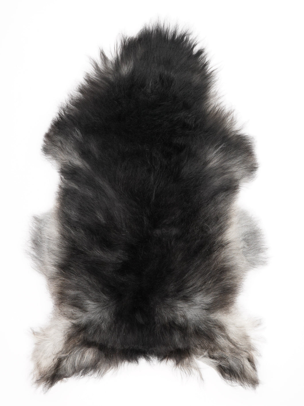 Hall islandi lambanahk L