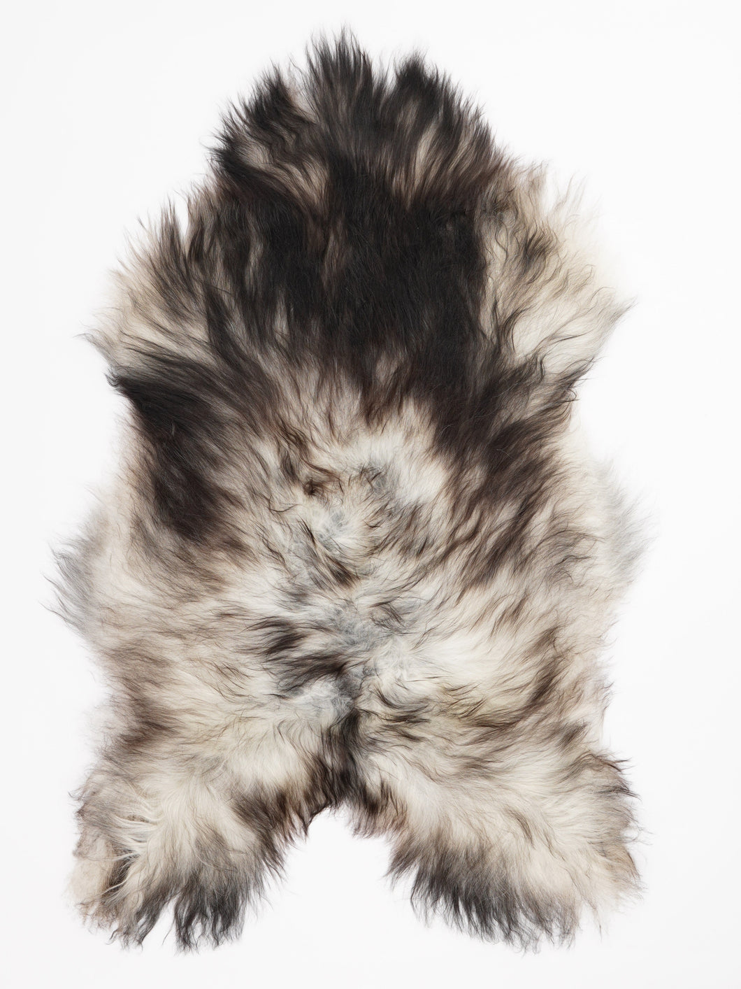 Hall islandi lambanahk XL