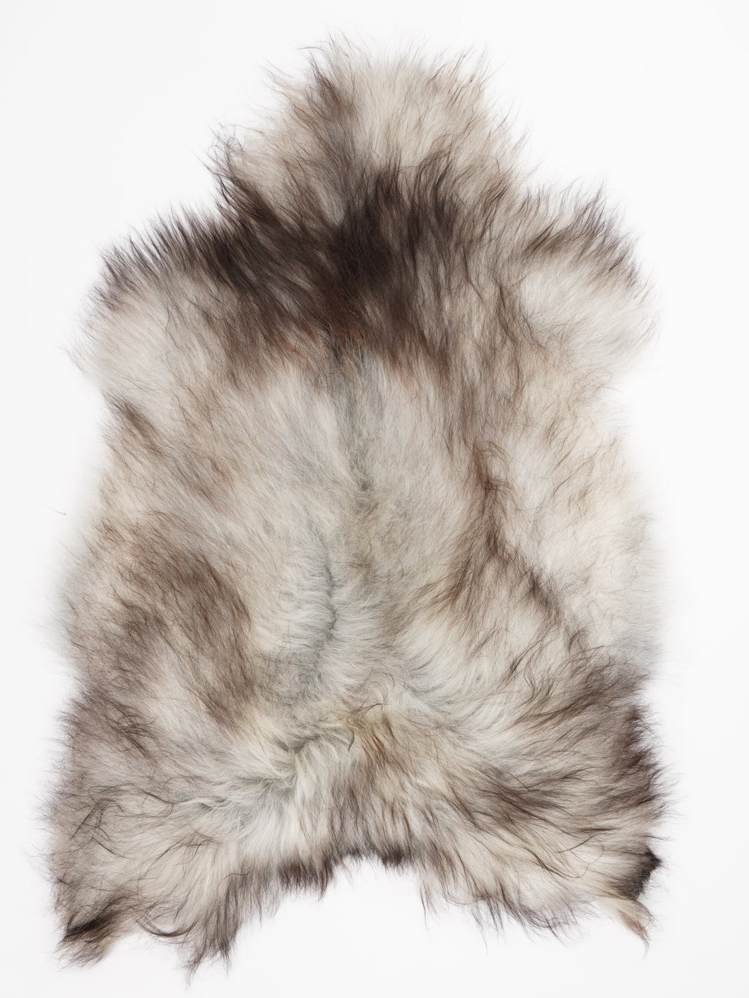 Hall islandi lambanahk XXL