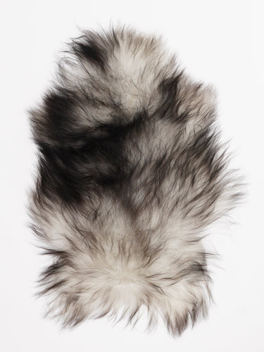 Hall islandi lambanahk S