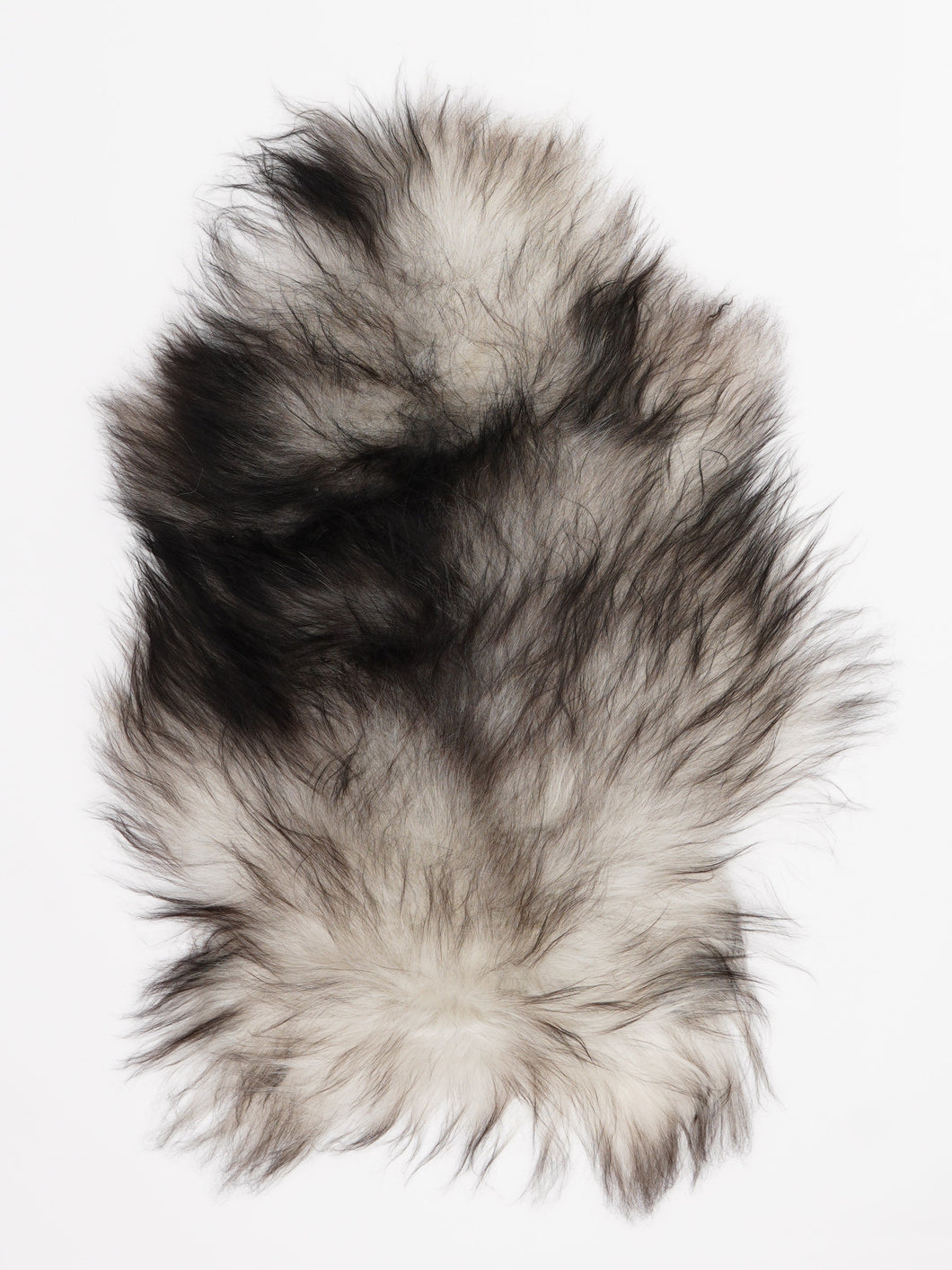 Hall islandi lambanahk S