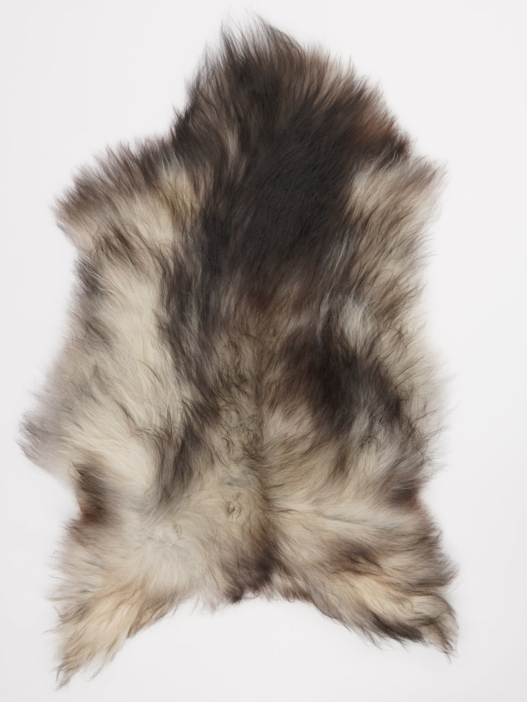 Hall islandi lambanahk L