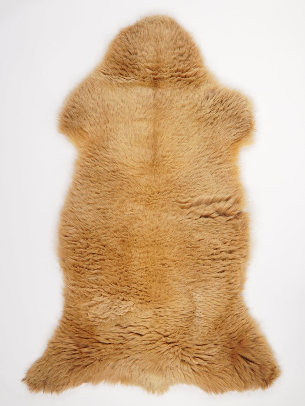 Mitmevärviline lambanahk XXL