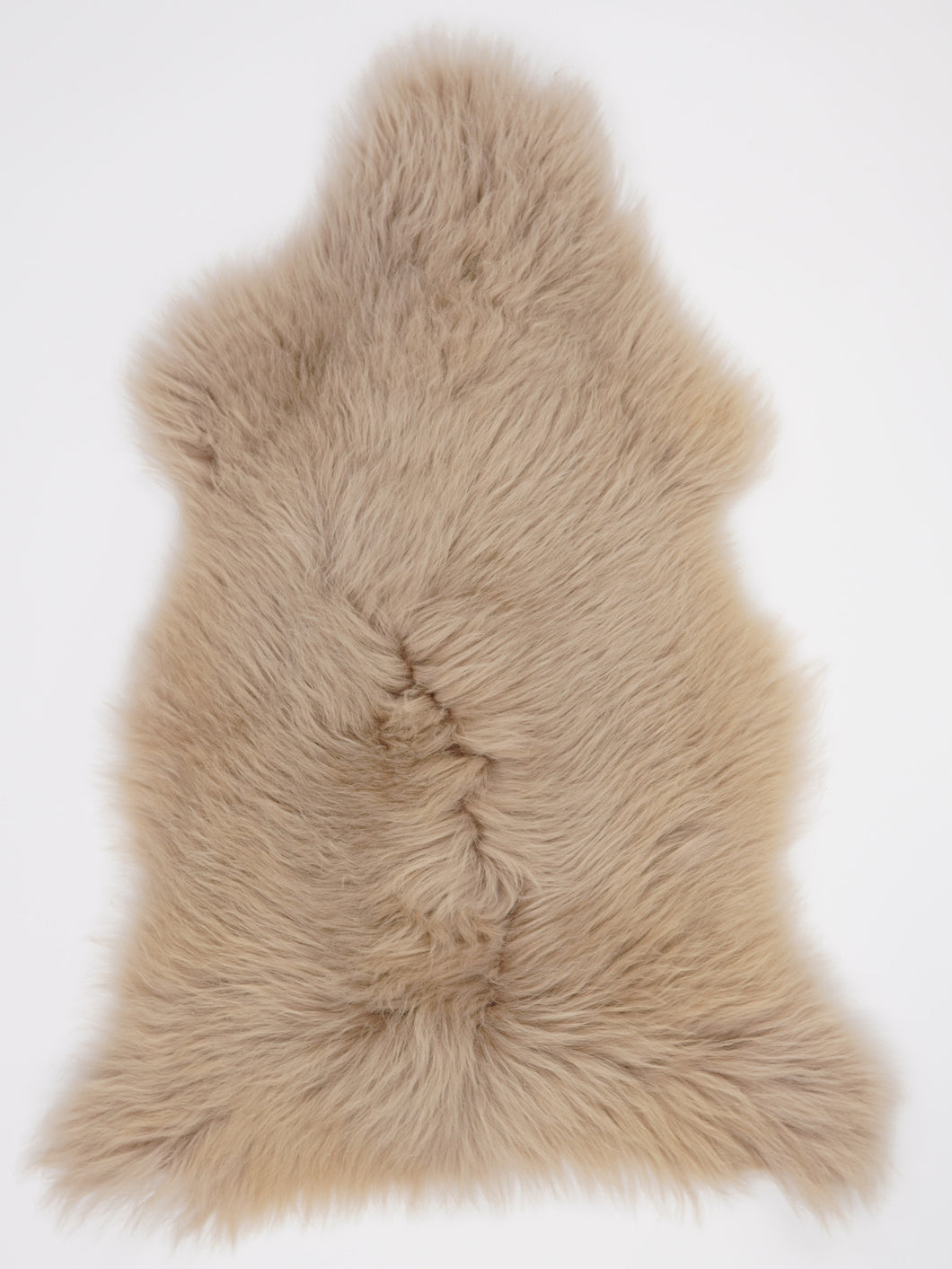 B-klassi Taupe lambanahk L