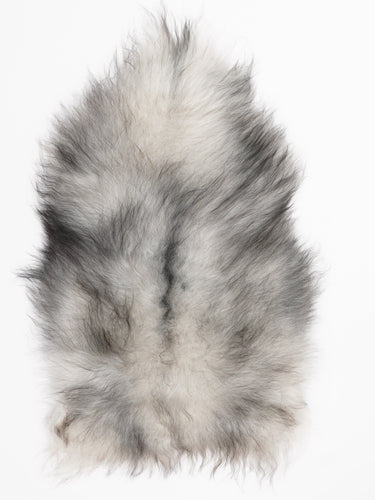 Hall islandi lambanahk M