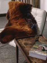 Load image into Gallery viewer, Pruun lambanahk &quot;Rusty&quot;

