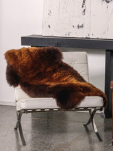 Load image into Gallery viewer, Pruun lambanahk &quot;Rusty&quot;
